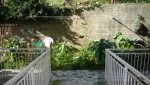 Rapallo - Bilocale Con Giardino 012